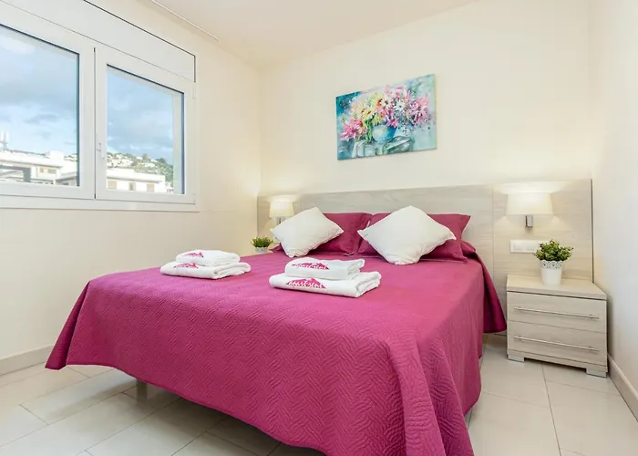 Lejlighed Apart-rent Francesc Macia Penthouse 2000